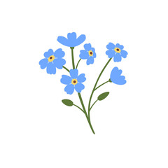 Blue Flower Png Picture,flores,watercolor Flowers,flower Decoration Pattern png hd transparent image
