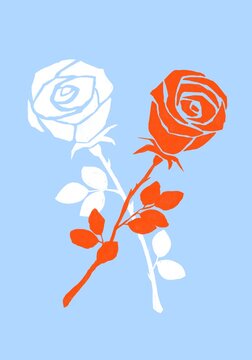 Roses