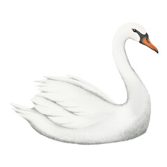 Mute swan png sticker, simple illustration, transparent background