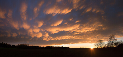 Weather phenomenon with bag-shaped mammatus clouds. sunset over the fields