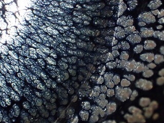 Textured background of microscopic glaze of Chinese ceramics tea cup