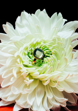 chrysanthemum flower and gemstone