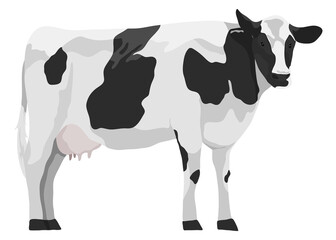 Dairy cow png illustration, farm animal, digital sticker, transparent background