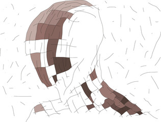 abstract random line art head