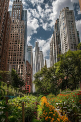 Fototapeta premium A view of a park with tall buildings towering in the background, showcasing the urban landscape merging with greenery