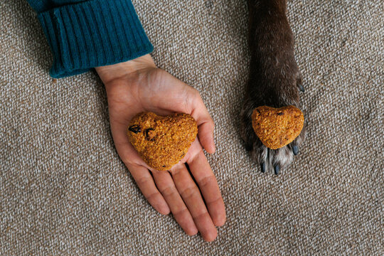 Heart is cookie in hand of man and in paw of a dog.