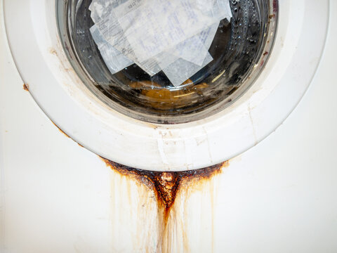 checks and receipts in washing machine