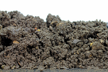 pile of bio garden soil