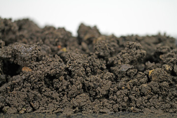 pile of bio garden soil
