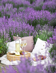 Obraz premium Glass of white wine in a lavender field. Violet flowers on the background.