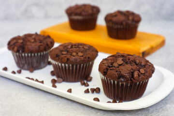 Chocolate muffin or cupcake with chocochips topping