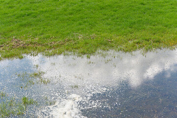 water puddle and grass with reflection of sky - Powered by Adobe