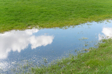 clouds and blue sky in soggy grass