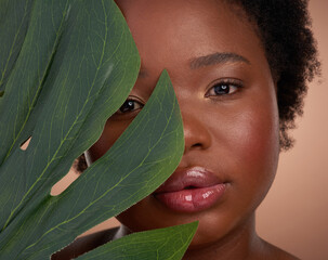 Plant, portrait and black woman in studio for beauty or skincare with make up, natural cosmetics...
