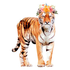 Tiger with wreath png illustration on transparent background in watercolor 
