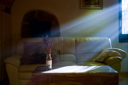 Morning light