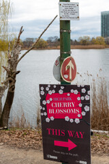 Fototapeta premium High Park Cherry Blossoms sign near Grenadier Pond in Toronto, Canada
