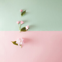 Fototapeta premium Creative layout made with pink flowers and leaves on pastel mint and pink background. Flat lay. Spring minimal concept.