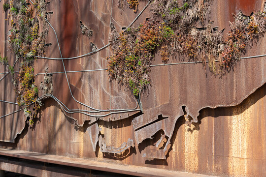 Ferruccio Sardella green watershed wall at Evergreen Brick Works located in Toronto, Canada