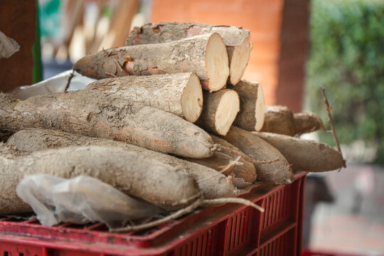 Cassava