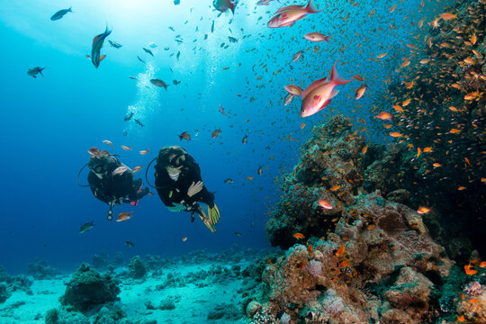 Mother and son scuba diving together