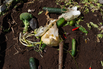 aging vegetables embrace the cycle on a compost heap