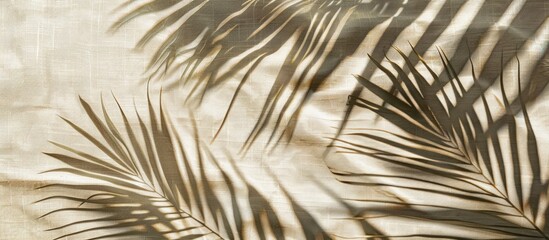 Palm leaf shadows cast on a beige linen fabric background, creating a summer vacation and beach holiday ambiance.