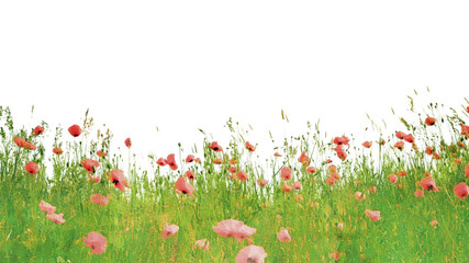 Grass flower png sticker, watercolor illustration border on transparent background
