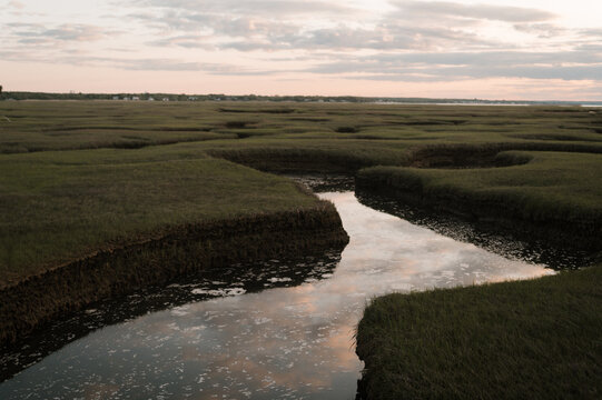 Marsh Landscape on Cape Cod