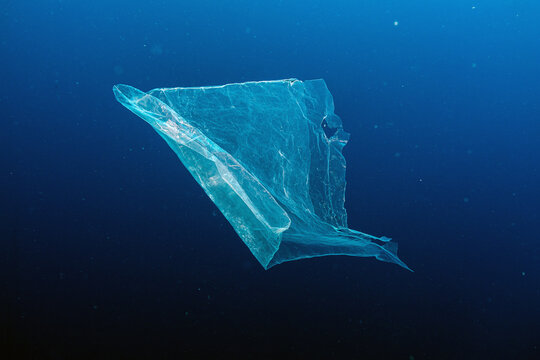 Plastic bag in the ocean