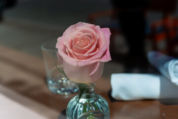 a solitary, towering pink rose, delicately poised in a crystal vessel, capturing the essence of romance amidst the ambiance of an Italian culinary haven
