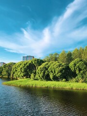 Fototapeta na wymiar Sunny Summer Day with Lush Green Trees, Blue Sky, White Clouds Over River in the Park. High-Quality Landscape Photo Capturing the Beauty of Nature and Serenity in the Outdoors.