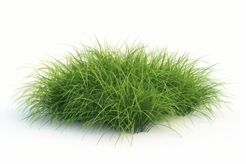 realistic grass field 3d render green turf isolated on white digital illustration