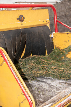 Wood Chipper Ingesting Christmas Tree