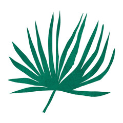 PNG green fan palm leaf, nature collage element, transparent background