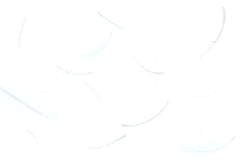 Feathers png background, transparent design