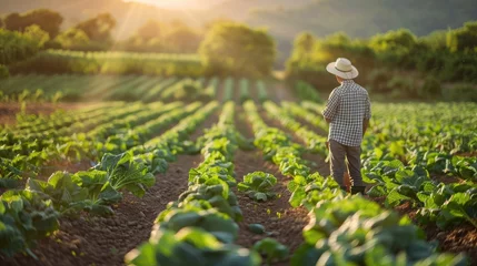 Fototapeten idyllic scene of a farmer tending to rows of vibrant vegetables in a sun-drenched field, embodying the beauty of sustainable agriculture. © buraratn
