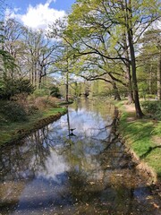 river in the park