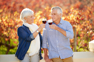 Obraz premium Senior couple, wine tasting and drink together for memories, relationship and retirement on vineyard. Toasting, man and woman excited on farm visit with alcohol for celebration, date or love