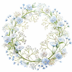 gypsophila flowers in a floral frame isolated