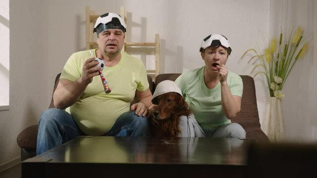 Football fans with dog cheering and rejoicing at scored goal watching match on TV at home in living room sitting on couch. Man and woman with pet wear funny hats, culture fan soccer.