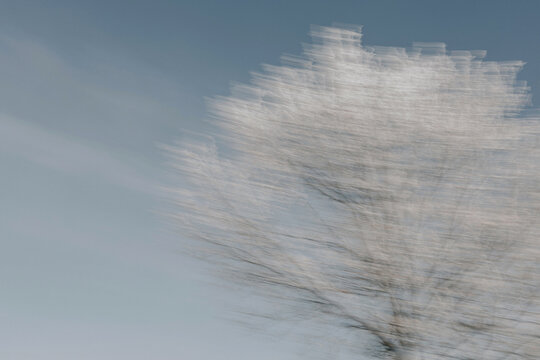 A winter landscape with a snow-covered tree 