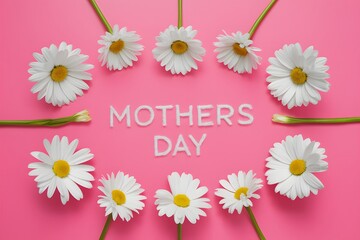 Bright pink background with white daisy flowers for Mothers Day