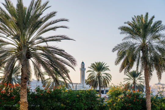 A mosque with palm trees around it in Oman