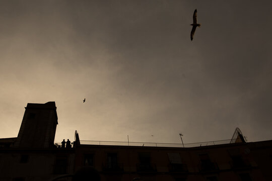 Building silouettes on a afternoon
