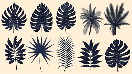 The tropical leaves modern collection is a set of monochromatic silhouettes with philodendron, palm, areca palm, royal fern, banana leaf, isolated on white.