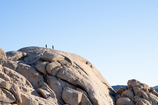 Tourists in Joshua Tree National Park