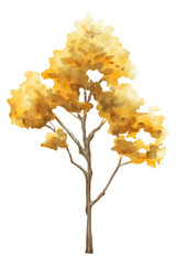 Autumn tree png, yellow plant collage element, transparent background