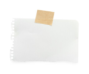 Piece of blank notebook sheet and adhesive tape isolated on white