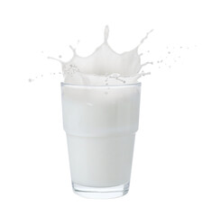 Milk splashing out of glass isolated on white